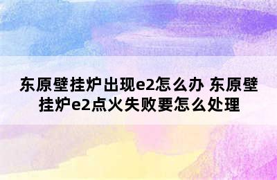 东原壁挂炉出现e2怎么办 东原壁挂炉e2点火失败要怎么处理